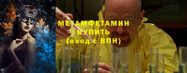 шишки Верея