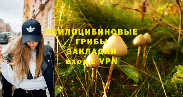 молекула духа Бородино