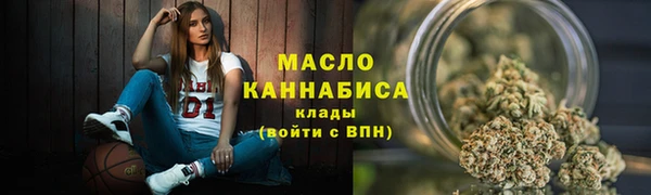 молекула духа Бородино