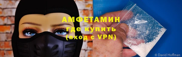 молекула духа Бородино