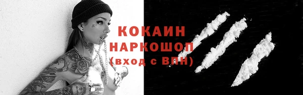 молекула духа Бородино