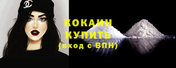 шишки Верея