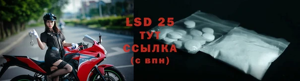 шишки Верея