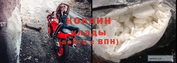 ГАЛЛЮЦИНОГЕННЫЕ ГРИБЫ Белая Холуница