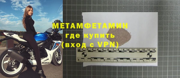 шишки Верея